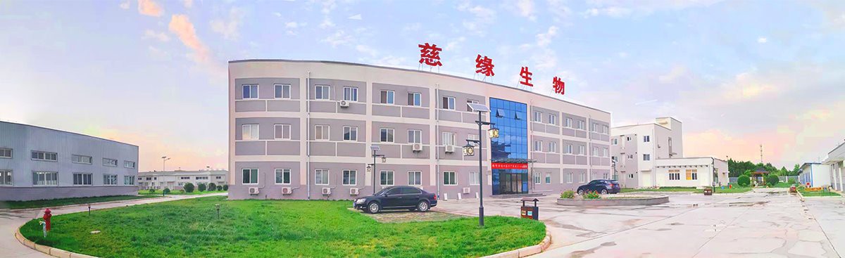 ciyuan  factory.jpg